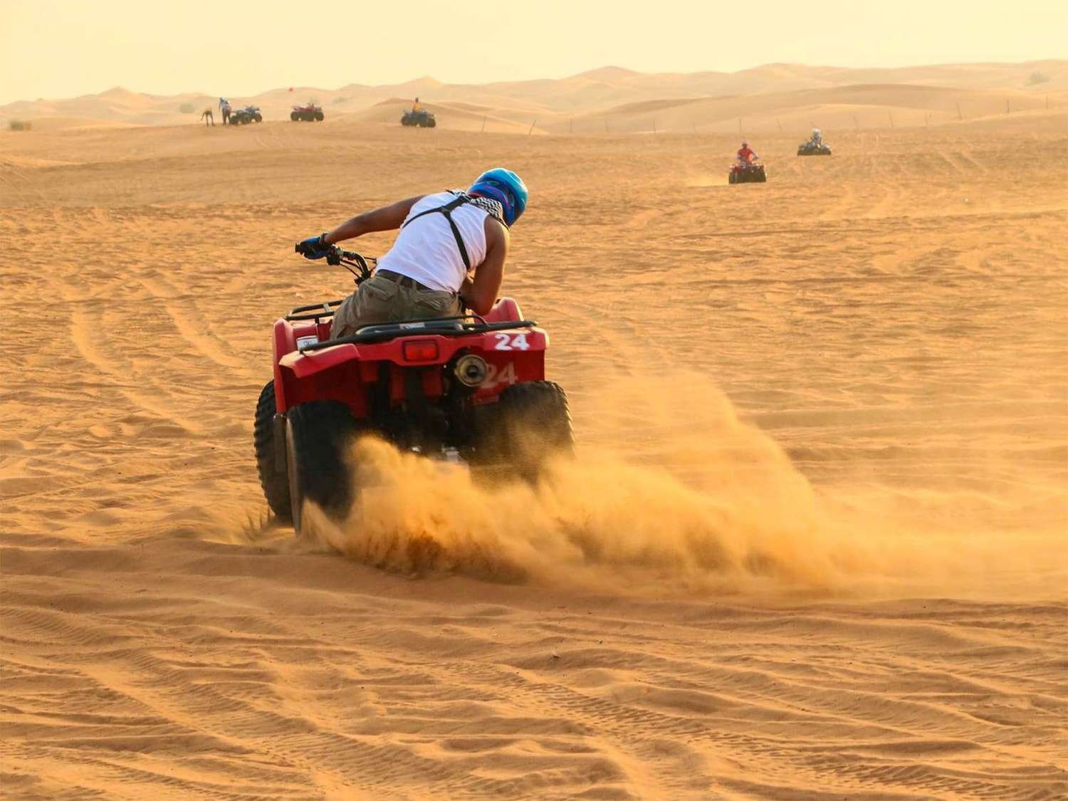 horse riding on the beach Hurghada