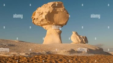 2 DAY Excursion to the White Desert - Flyberry Tours