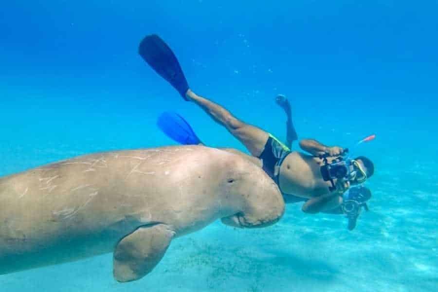 medical conditions for scuba diving