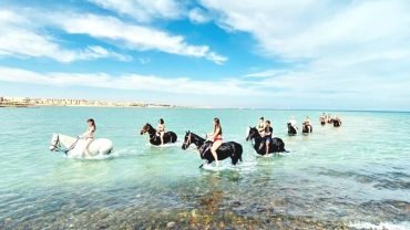Horse riding - Flyberry Tours