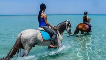Horse riding - Flyberry Tours