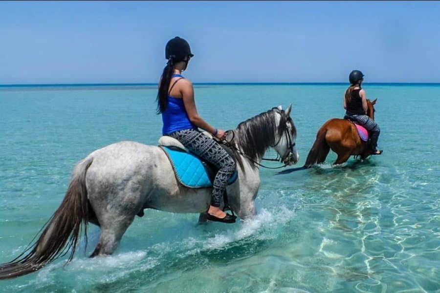 quad biking and camel riding Hurghada