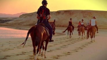 Horse riding - Flyberry Tours