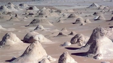 2 DAY Excursion to the White Desert - Flyberry Tours