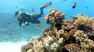Scuba diving Full Day Trip- with Tow Dive - Flyberry Tours
