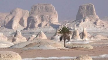 2 DAY Excursion to the White Desert - Flyberry Tours