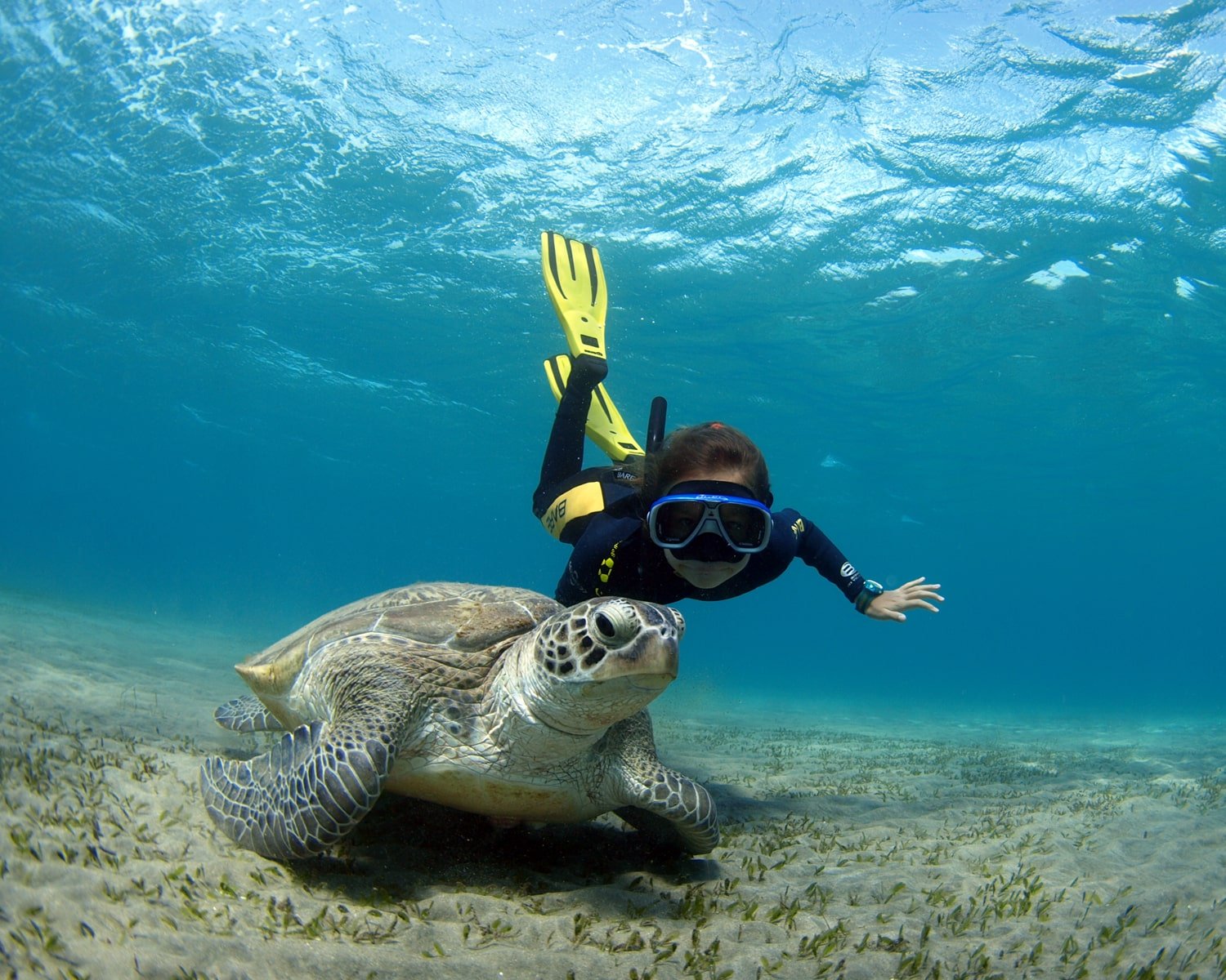 best scuba diving months Hurghada