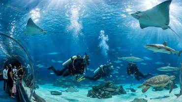 Hurgada Grand aquarium - Flyberry Tours
