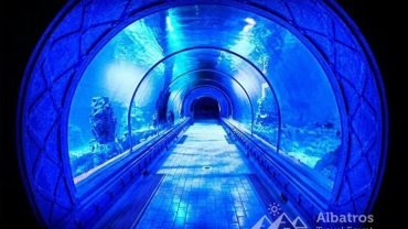 Hurgada Grand aquarium - Flyberry Tours