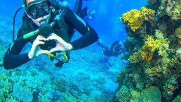 Scuba diving Full Day Trip- with Tow Dive - Flyberry Tours