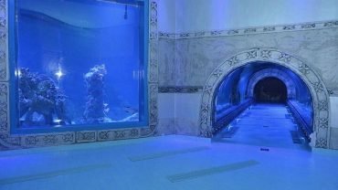 Hurgada Grand aquarium - Flyberry Tours