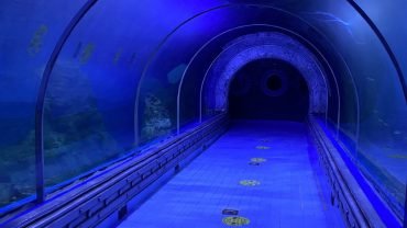 Hurgada Grand aquarium - Flyberry Tours