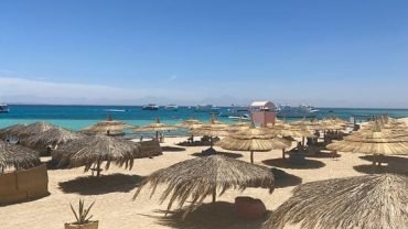 Paradise island Boat Trip (Snorkeling & Water Sport & Lunch) - Flyberry Tours