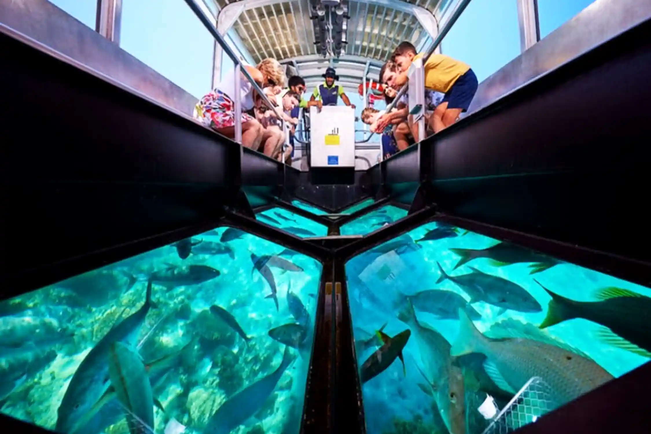 Dive into the Red Sea: Glass-Bottom Boat Adventure and Snorkeling - Flyberry Tours