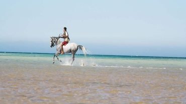 Horse riding - Flyberry Tours