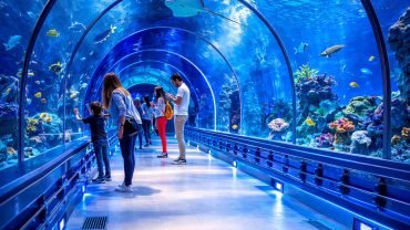 Hurgada Grand aquarium - Flyberry Tours