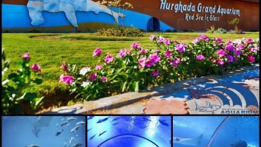 Hurgada Grand aquarium - Flyberry Tours