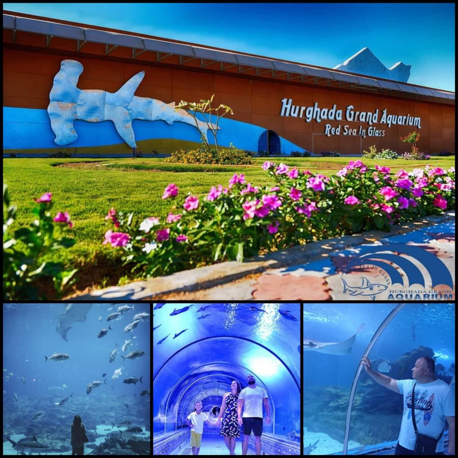 photography tips Hurghada underwater desert