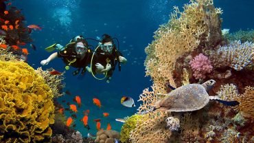 Scuba diving Full Day Trip- with Tow Dive - Flyberry Tours