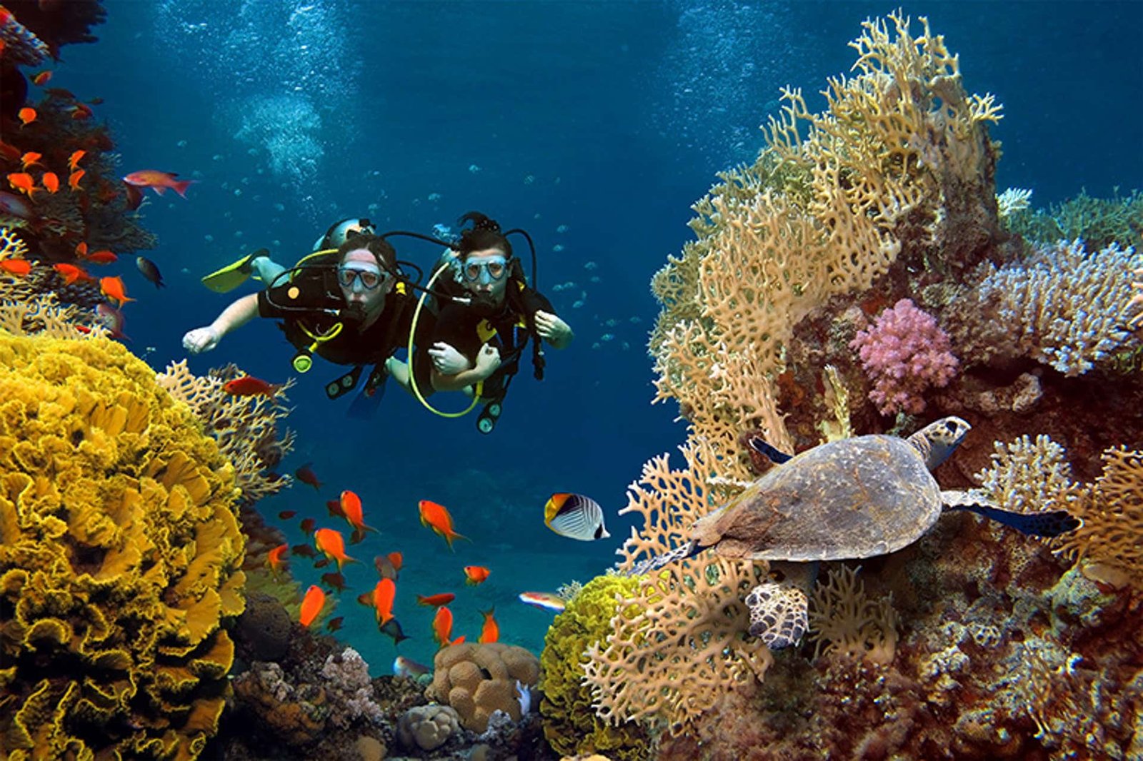 top dive sites in Hurghada