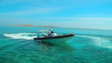 Private Speed Boat to (Dolphin Bay-orange Bay -Paradise Island) - Flyberry Tours