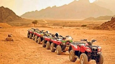 Private Family safari (Quad Bike & Camel Ride) - Flyberry Tours