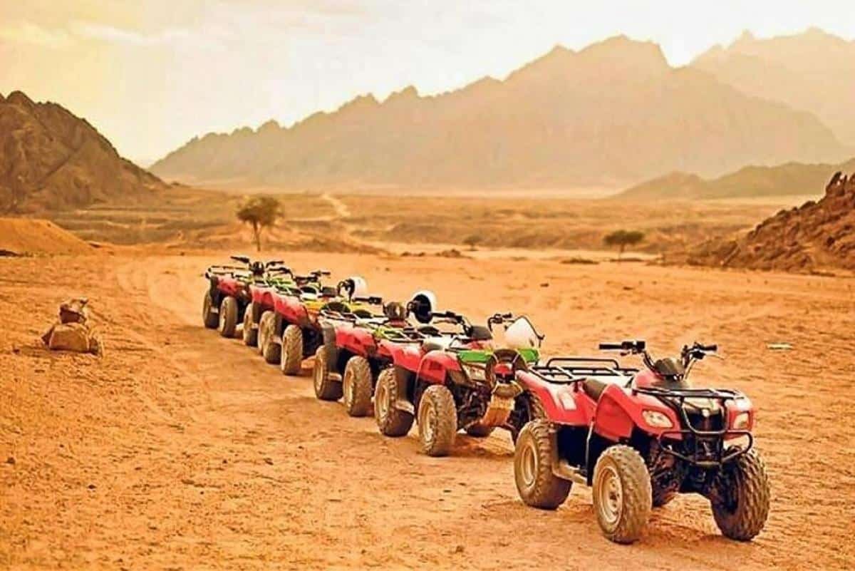 best shoes for quad bike safari Egypt