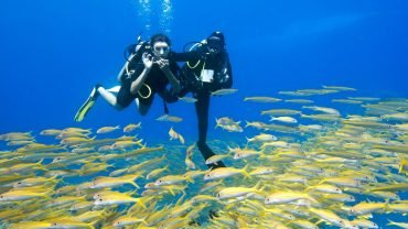Scuba diving Full Day Trip- with Tow Dive - Flyberry Tours