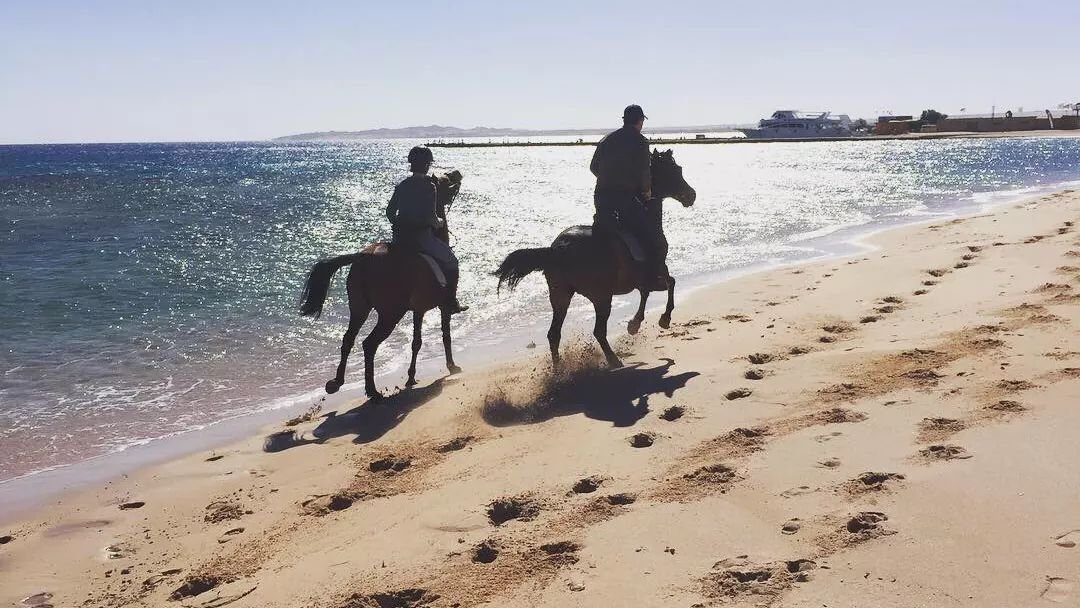 winter vs summer desert safari Hurghada