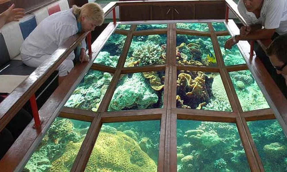 Dive into the Red Sea: Glass-Bottom Boat Adventure and Snorkeling - Flyberry Tours