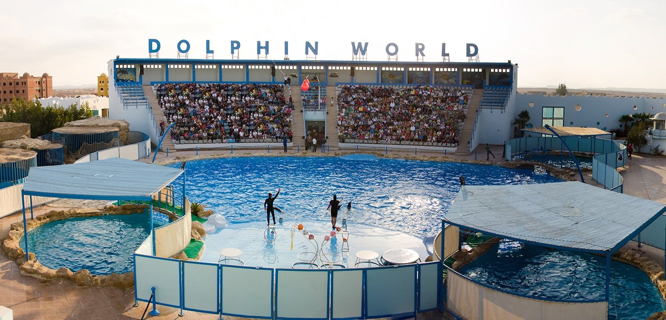 Dolphin House Hurghada sighting tips