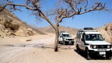 Family Jeep safari by 4×4 WD (Quad Bike Safari & Camel Ride} - Flyberry Tours