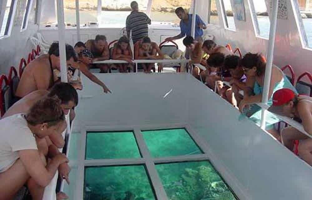 Dive into the Red Sea: Glass-Bottom Boat Adventure and Snorkeling - Flyberry Tours