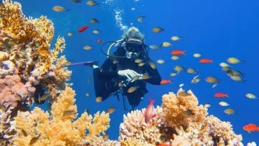 Scuba diving Full Day Trip- with Tow Dive - Flyberry Tours