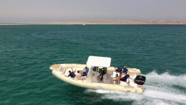 Private Speed Boat to (Dolphin Bay-orange Bay -Paradise Island) - Flyberry Tours
