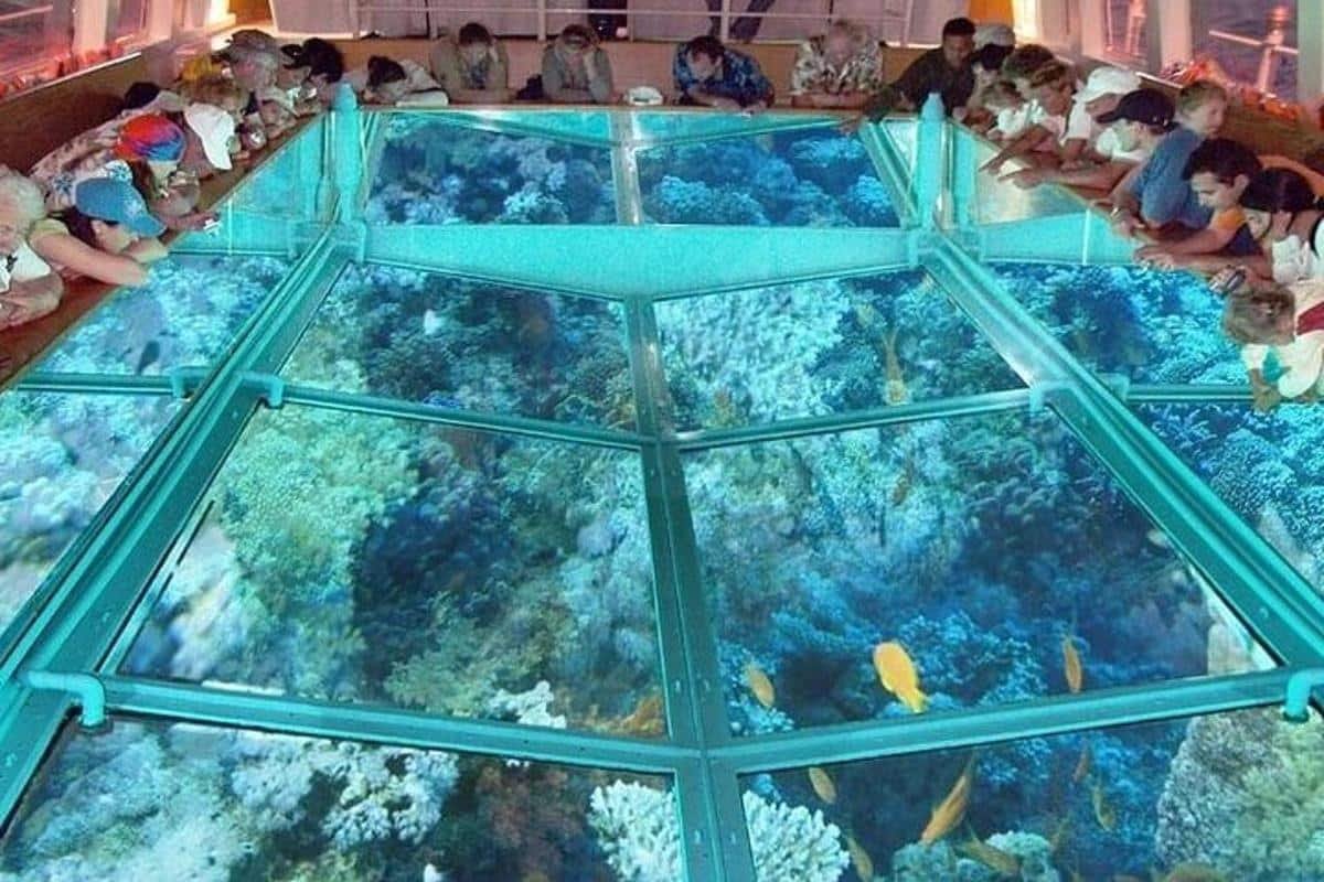 Dive into the Red Sea: Glass-Bottom Boat Adventure and Snorkeling - Flyberry Tours