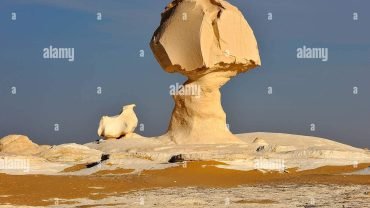 2 DAY Excursion to the White Desert - Flyberry Tours