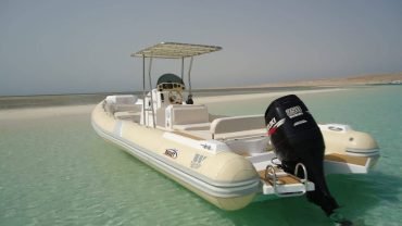 Private Speed Boat to (Dolphin Bay-orange Bay -Paradise Island) - Flyberry Tours